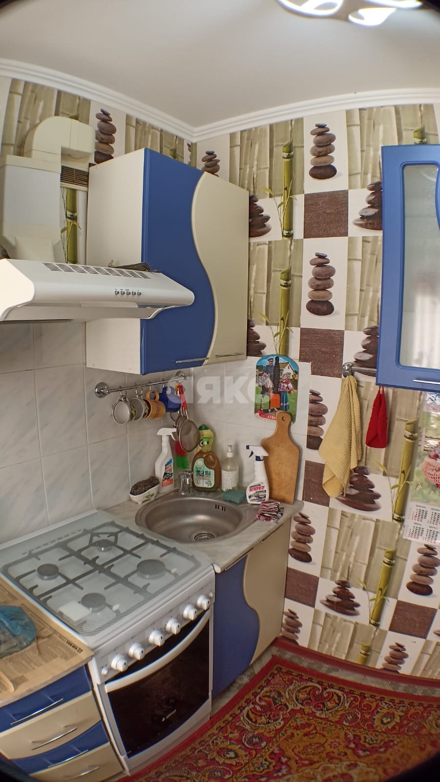 Фото №10: Родной Дом-5 - 