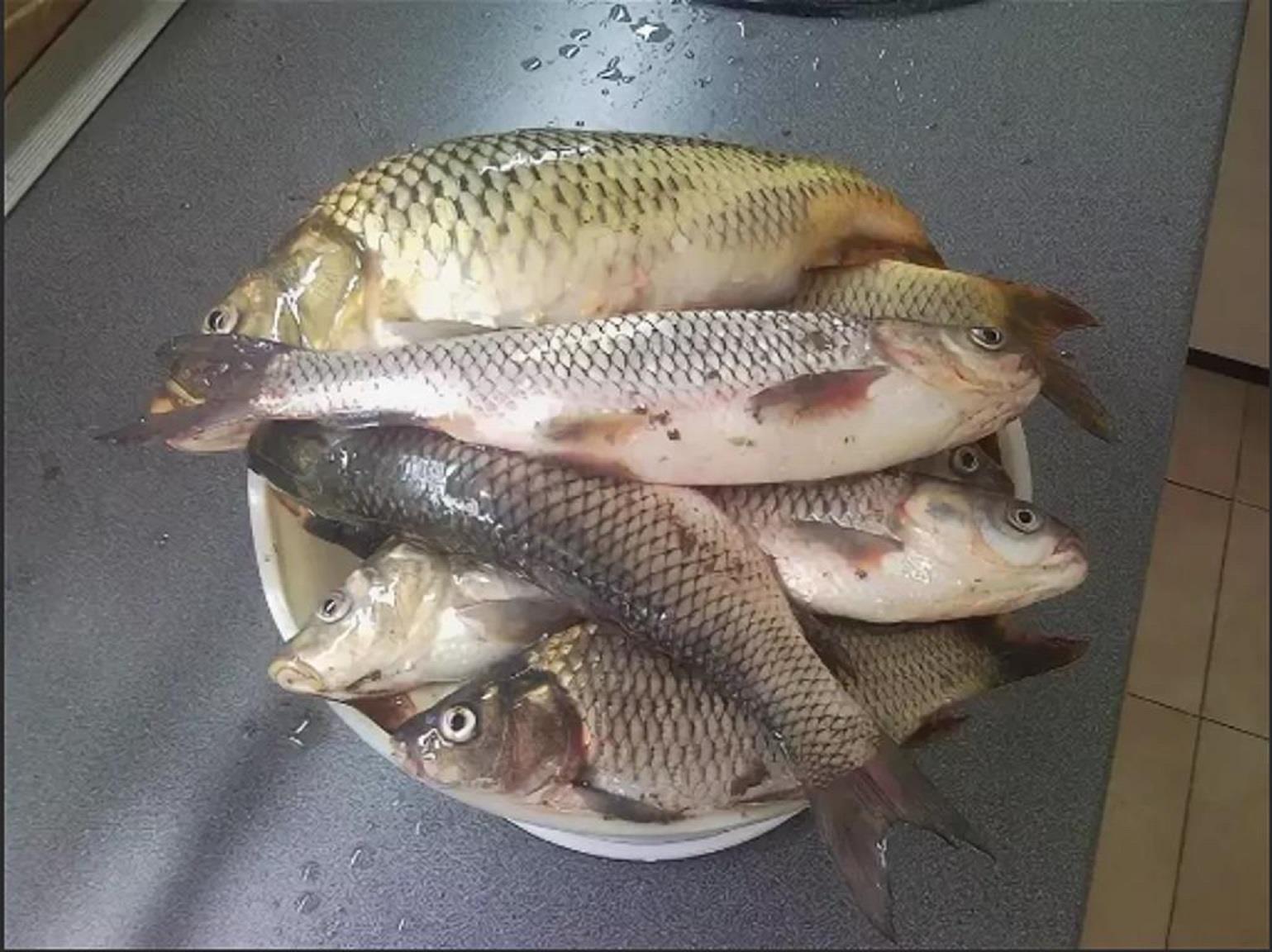 Фото №11: Земельный участок 5 сот. - Пластуновская, ул. Средняя, 36