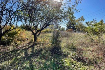 Фото №2: Участок садоводство 6 сот. - Железнодорожник-3, мкр. Карасунский внутригородской округ, ул. Земляничная