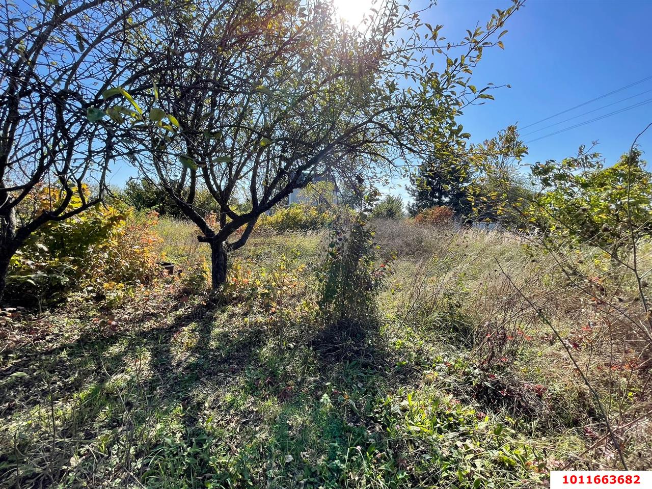 Фото №2: Участок садоводство 6 сот. - Железнодорожник-3, Карасунский внутригородской округ, ул. Земляничная
