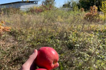 Фото №2: Участок садоводство 6 сот. - Железнодорожник-3, мкр. Карасунский внутригородской округ, ул. Земляничная, 591