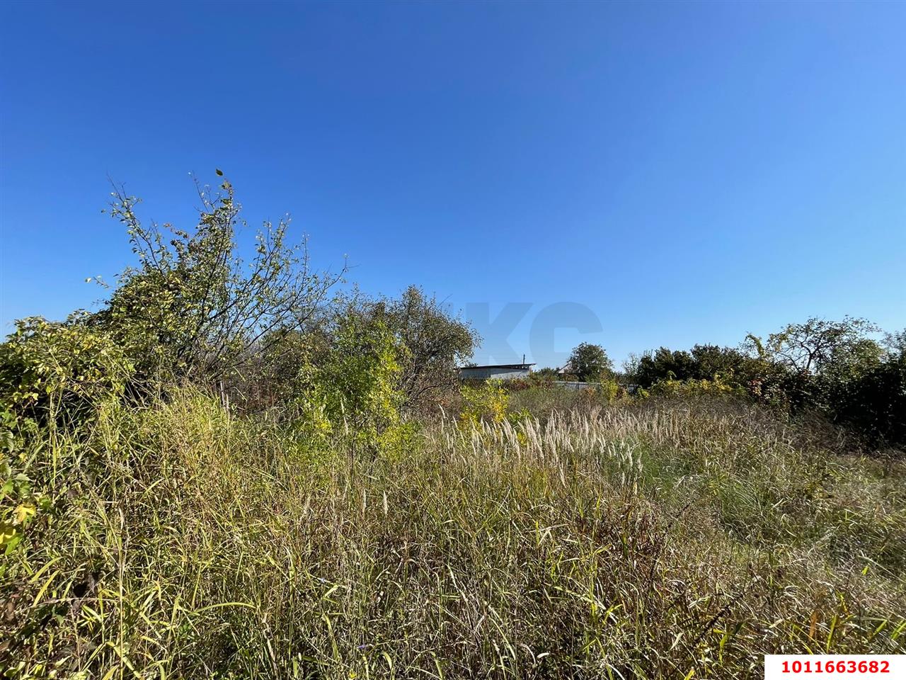 Фото №4: Участок садоводство 6 сот. - Железнодорожник-3, Карасунский внутригородской округ, ул. Земляничная