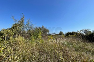 Фото №3: Участок садоводство 6 сот. - Железнодорожник-3, мкр. Карасунский внутригородской округ, ул. Земляничная