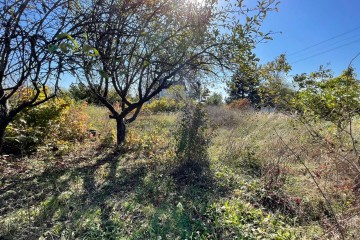 Фото №4: Участок садоводство 6 сот. - Железнодорожник-3, мкр. Карасунский внутригородской округ, ул. Земляничная, 591