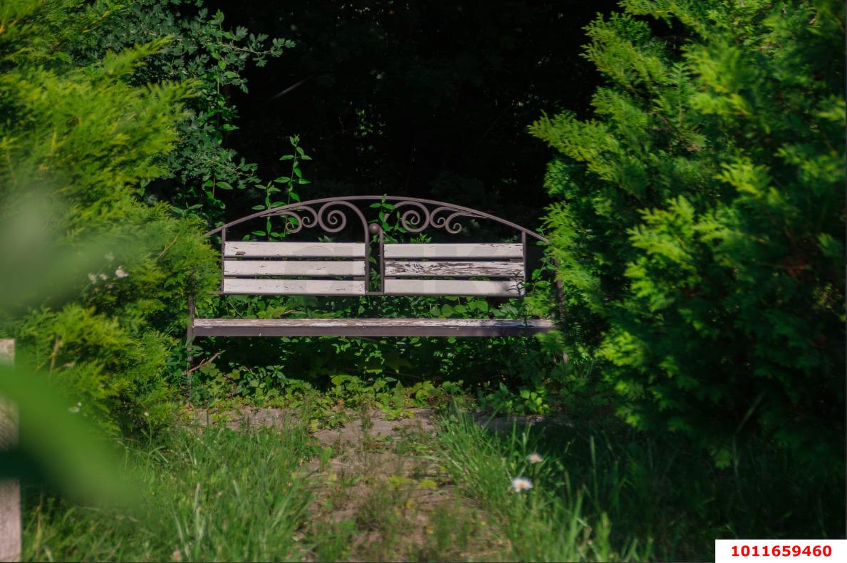 Фото №7: Участок садоводство 10 сот. - Григорьевская, квартал Светлый, 119