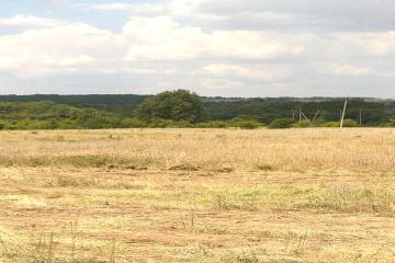 Фото №1: Коммерция 800 м² - Ахтырский, ул. Калинина, 20