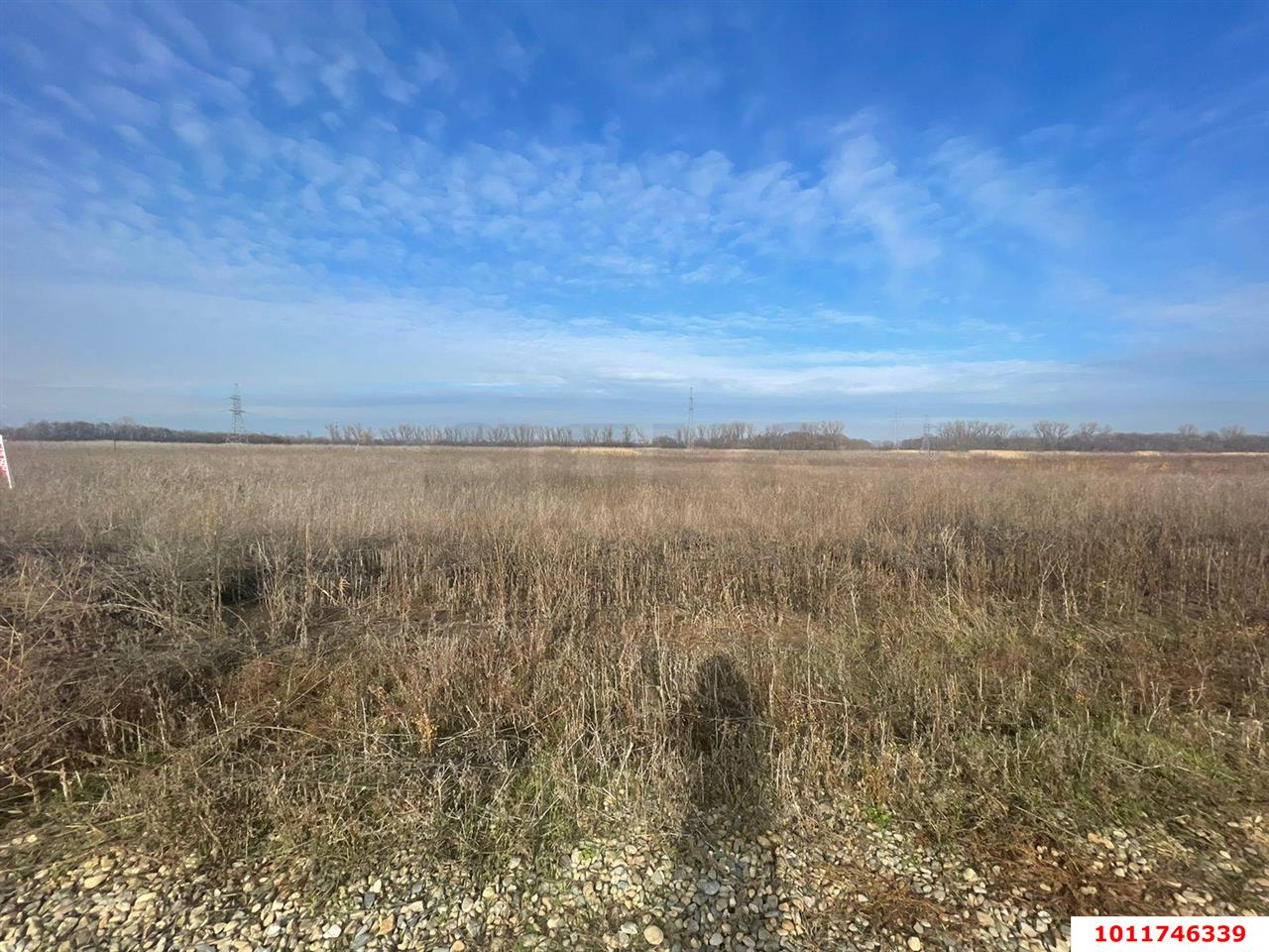 Фото №2: Земельный участок 8 сот. - Лазурный, пр-д 1-й  Самуила Маршака, 21