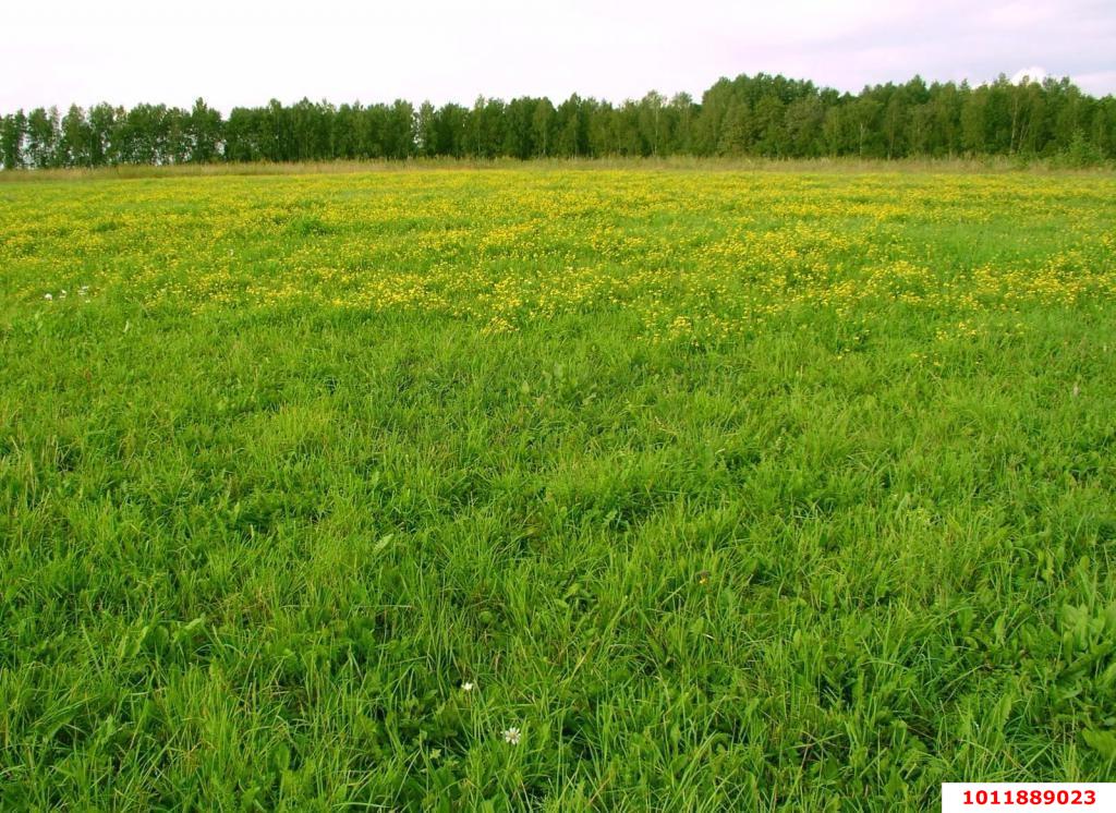 Фото №3: Коммерческая земля 200 сот. - Старокорсунская, Карасунский внутригородской округ, ул. Краснодарская, 3