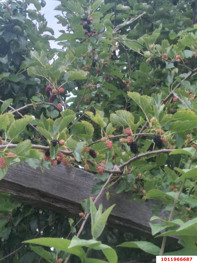 Фото №11: Дом 135 м² + 14 сот. - Новодмитриевская, ул. Речная, 10Б