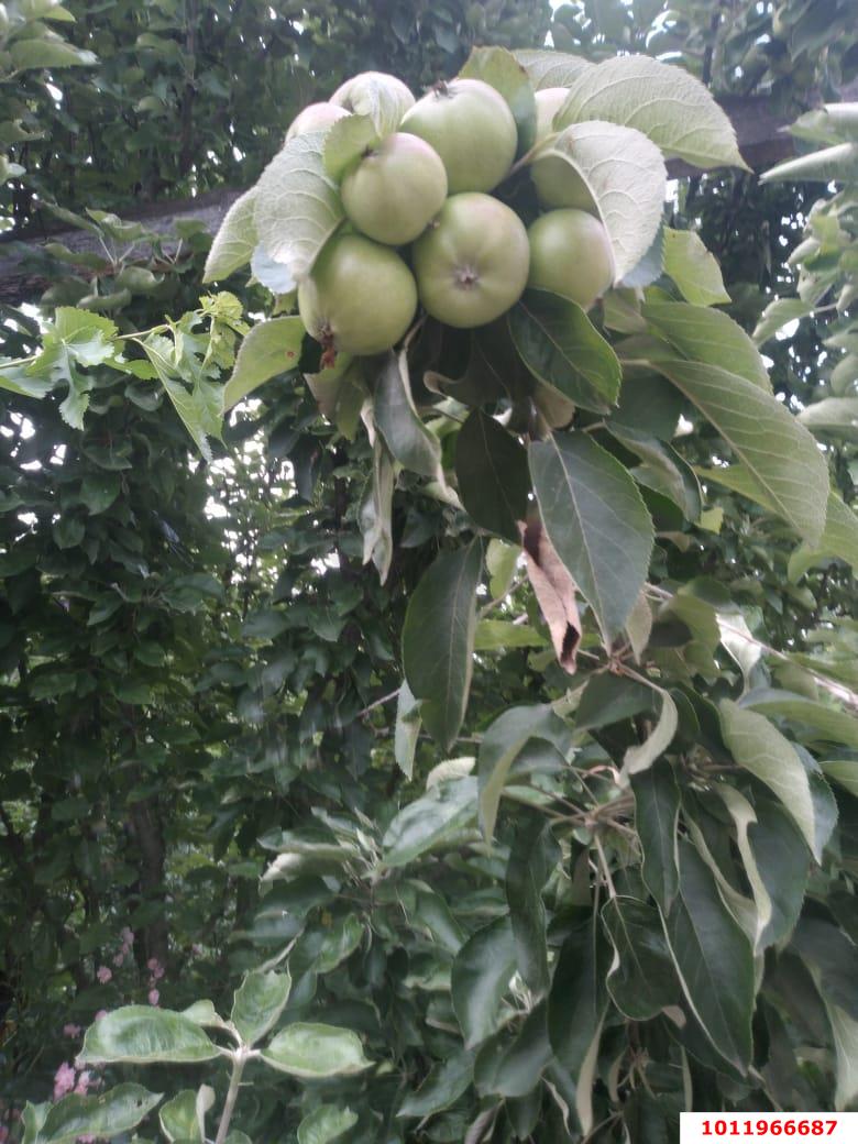 Фото №10: Дом 135 м² + 14 сот. - Новодмитриевская, ул. Речная, 10Б