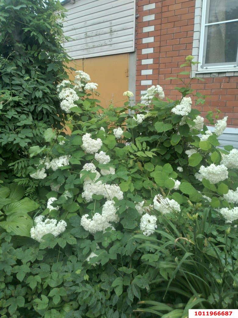 Фото №14: Дом 135 м² + 14 сот. - Новодмитриевская, ул. Речная, 10Б