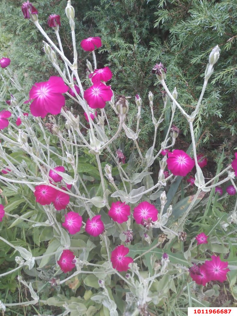 Фото №12: Дом 135 м² + 14 сот. - Новодмитриевская, ул. Речная, 10Б