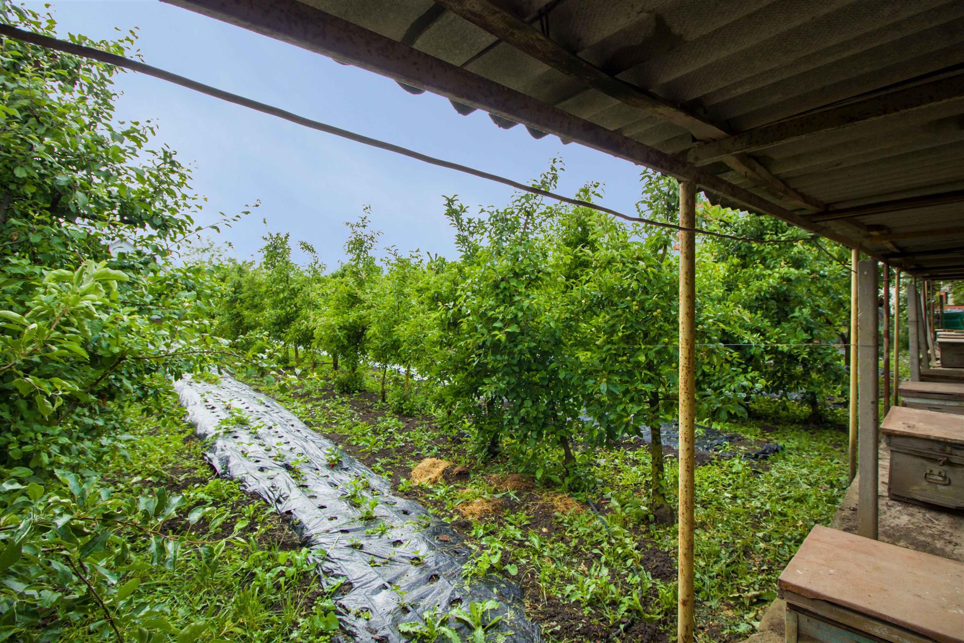 Фото №6: Дом 235 м² + 30 сот. - Ивановская, ул. Краснолесская, 45