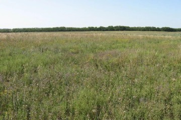 Фото №4: Коммерческая земля 260 сот. - Краснодарский край Динской район