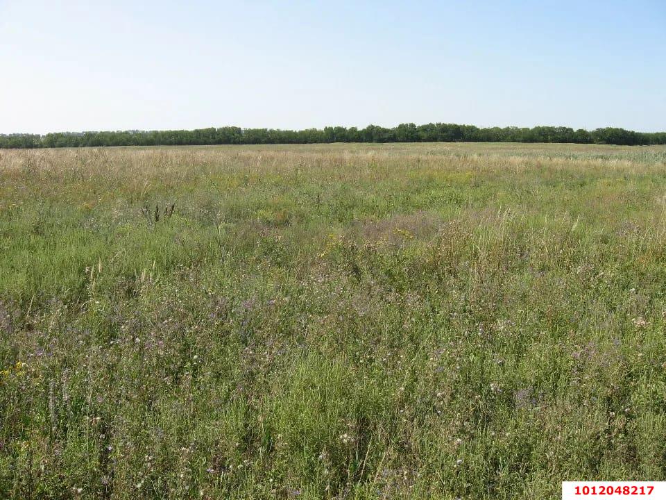 Фото №4: Коммерческая земля 260 сот. - Краснодарский край Динской район