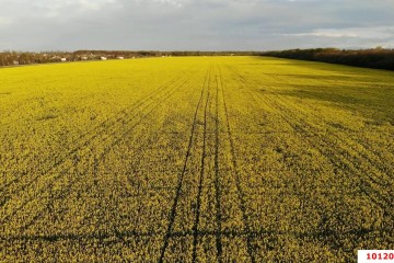 Фото №5: Коммерческая земля 260 сот. - Краснодарский край Динской район