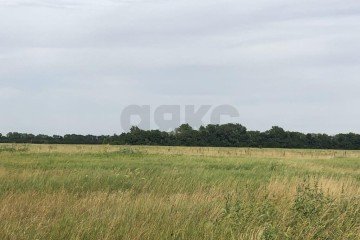 Фото №3: Коммерческая земля 260 сот. - Краснодарский край Динской район