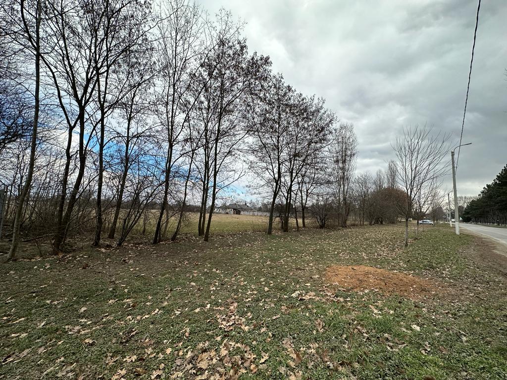 Фото №5: Коммерция 95 м² - Старокорсунская, мкр. Карасунский внутригородской округ, ул. Мира, 1