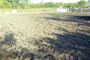 Фото №1: Земельный участок 12 сот. - Хомуты, ул. Шоссейная, 9