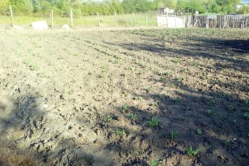 Фото №1: Земельный участок под ИЖС 12 сот. - Хомуты, ул. Шоссейная, 9