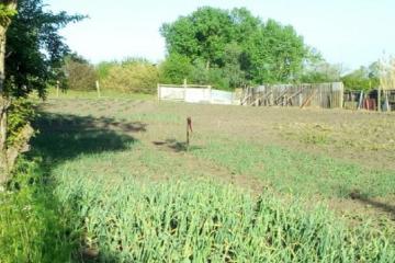 Фото №3: Земельный участок 12 сот. - Хомуты, ул. Шоссейная, 9