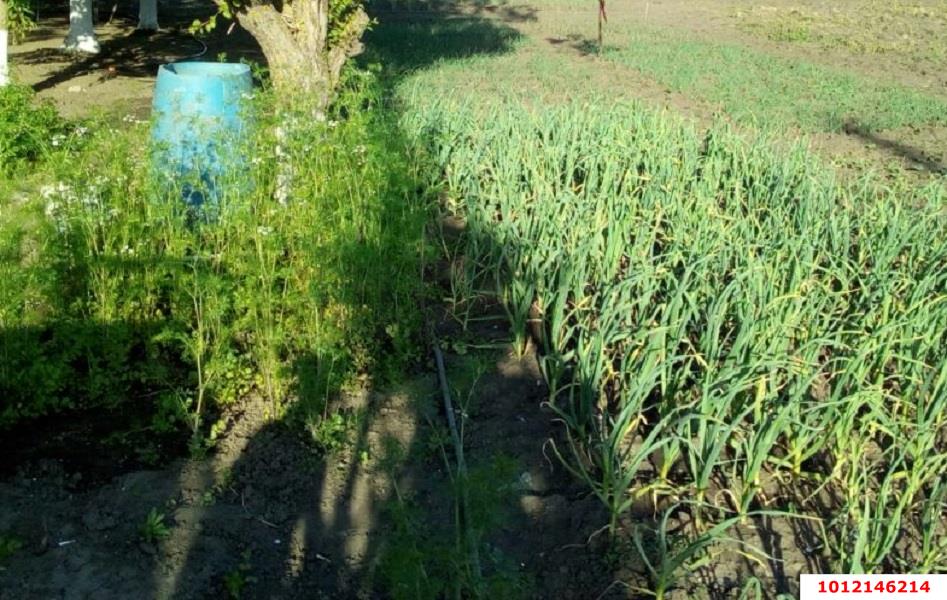 Фото №2: Земельный участок 12 сот. - Хомуты, ул. Шоссейная, 9