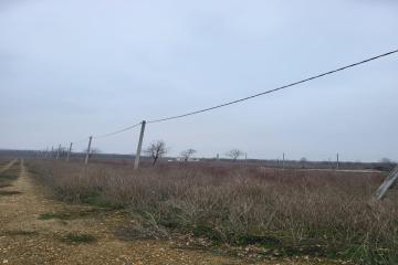 Фото №5: Земельный участок 6 сот. - Старокорсунская, мкр. Карасунский внутригородской округ, пр-д Владимирский