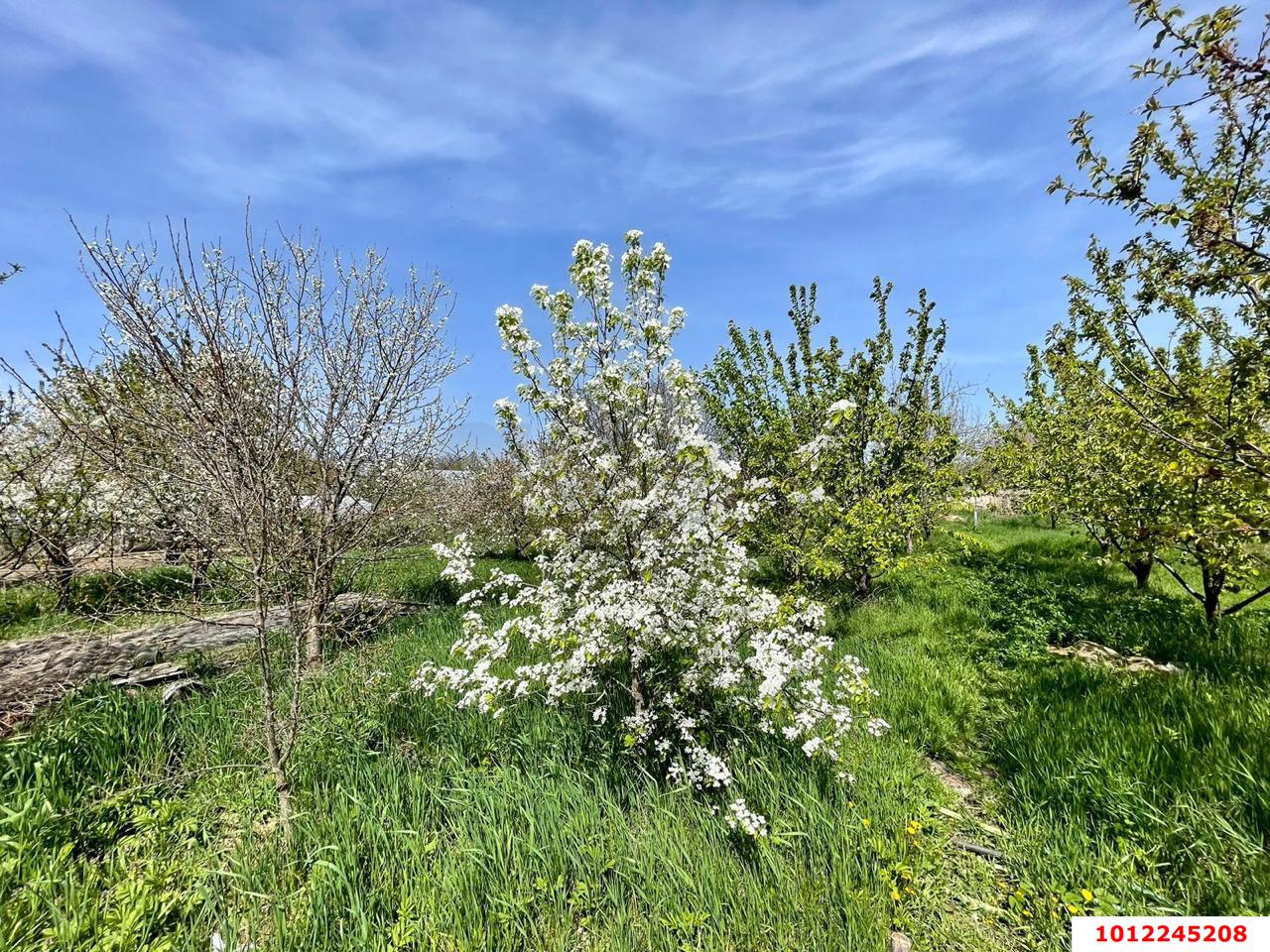 Фото №19: Дом 280 м² + 16 сот. - Курганинск, ул. Пионерская, 33