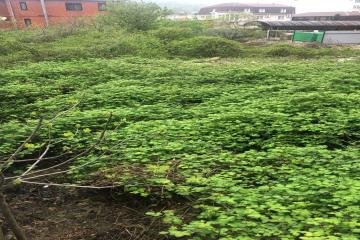 Фото №4: Земельный участок 5.95 сот. - Новомихайловский, мкр. Солнечный, ул. Ростовская, 17