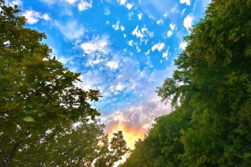 Фото №3: Земельный участок 4.78 сот. - КТТУ, мкр. Прикубанский внутригородской округ, ул. Розовая