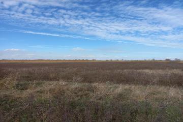 Фото №2: Коммерция 34 м² - Республика Адыгея (Адыгея) Тахтамукайский район