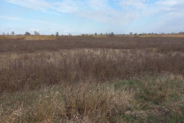 Фото №1: Коммерческая земля 35 сот. - Республика Адыгея (Адыгея) Тахтамукайский район