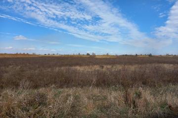 Фото №3: Коммерция 34 м² - Республика Адыгея (Адыгея) Тахтамукайский район