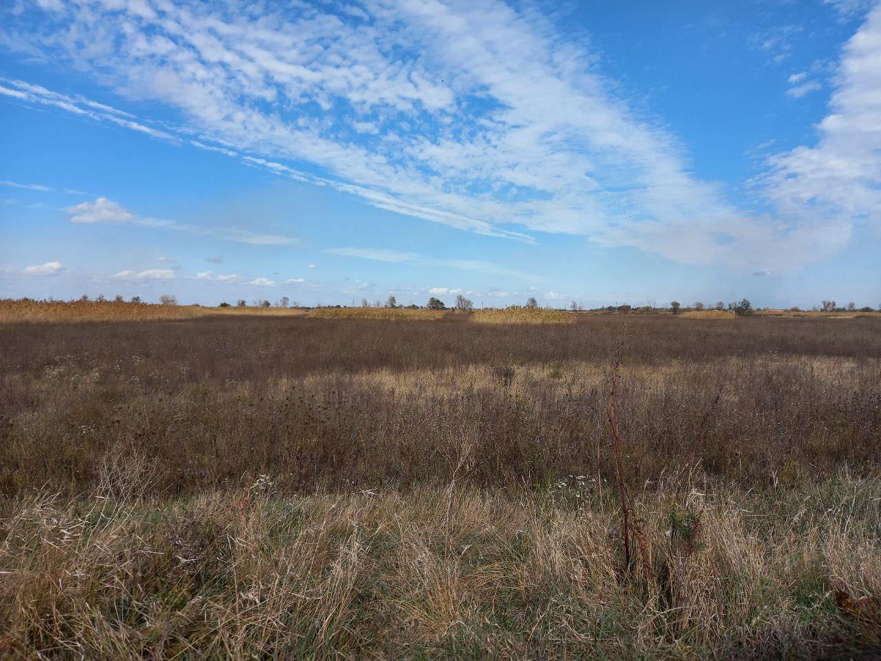 Фото №3: Коммерция 34 м² - Республика Адыгея (Адыгея) Тахтамукайский район