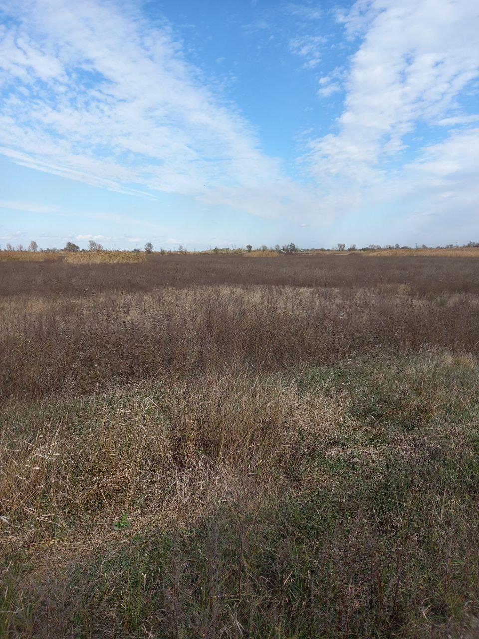 Фото №1: Коммерция 34 м² - Республика Адыгея (Адыгея) Тахтамукайский район