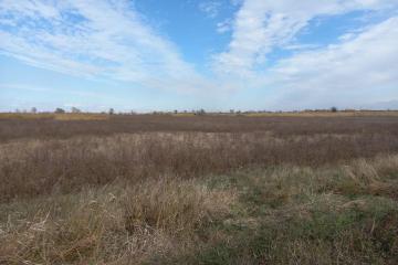 Фото №2: Коммерция 34 м² - Республика Адыгея (Адыгея) Тахтамукайский район