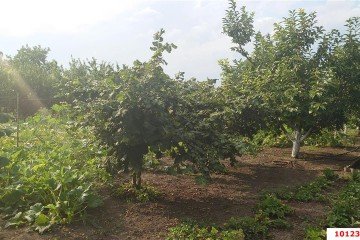 Фото №4: Дом 196 м² - Пластуновская, ул. Нижненабережная, 9