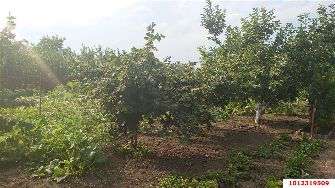 Фото №4: Дом 196 м² + 18 сот. - Пластуновская, ул. Нижненабережная, 9