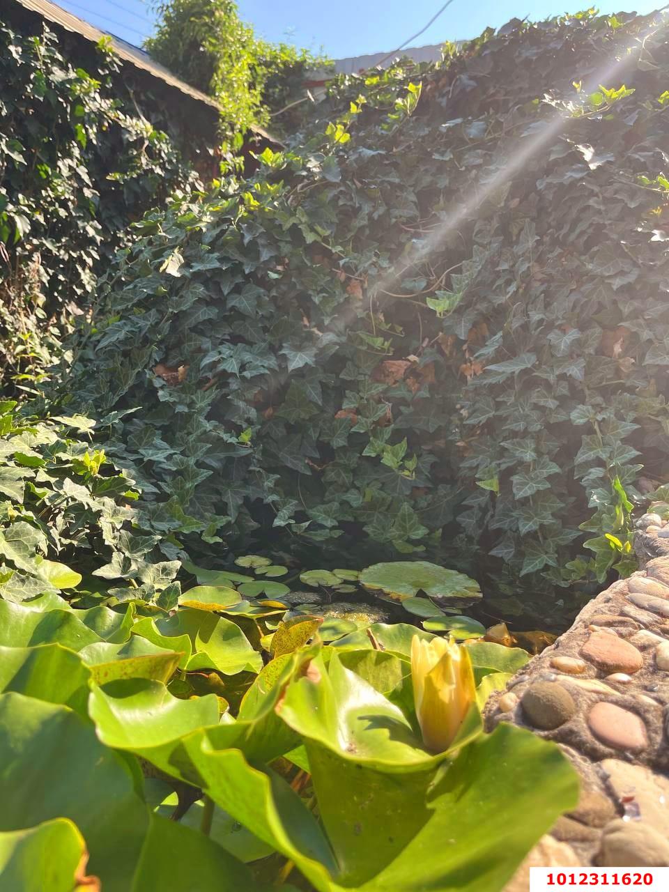 Фото №15: Дом 101 м² + 6 сот. - Лермонтово, ул. Ленина, 6