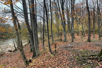 Фото №1: Коммерция 200 м² - Гуамка, ул. Весёлая, 52