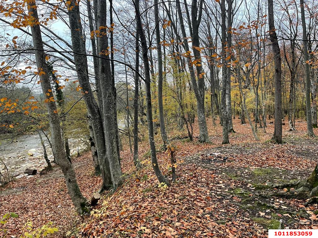 Фото №1: Коммерция 200 м² - Гуамка, ул. Весёлая, 52