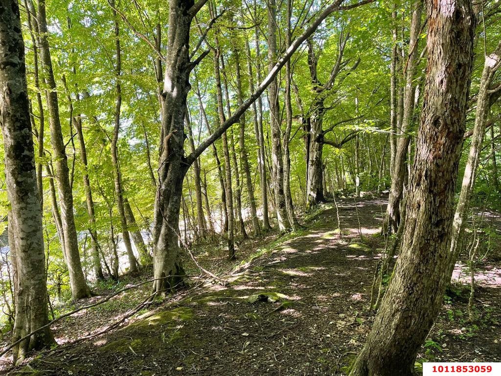 Фото №20: Коммерческая земля 200 сот. - Гуамка, ул. Весёлая, 52