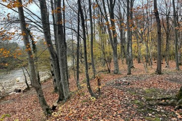 Фото №1: Коммерческая земля 200 сот. - Гуамка, ул. Весёлая, 52