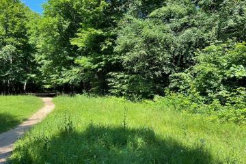 Фото №5: Коммерция 200 м² - Гуамка, ул. Весёлая, 52