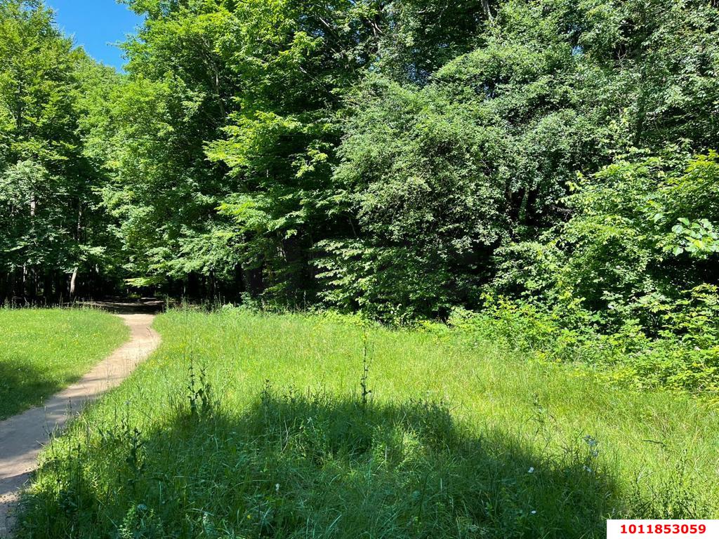 Фото №5: Коммерция 200 м² - Гуамка, ул. Весёлая, 52