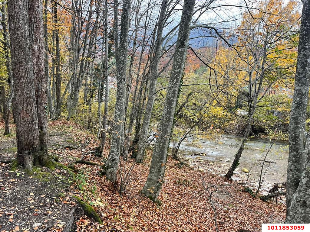 Фото №15: Коммерческая земля 200 сот. - Гуамка, ул. Весёлая, 52