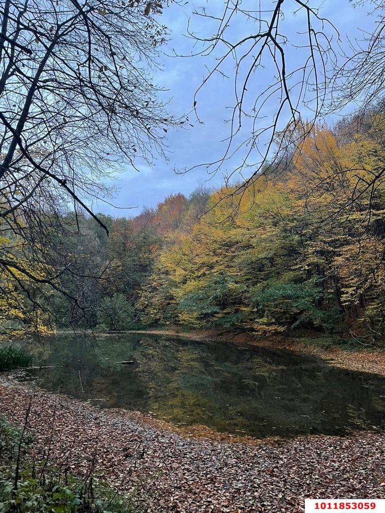 Фото №4: Коммерция 200 м² - Гуамка, ул. Весёлая, 52