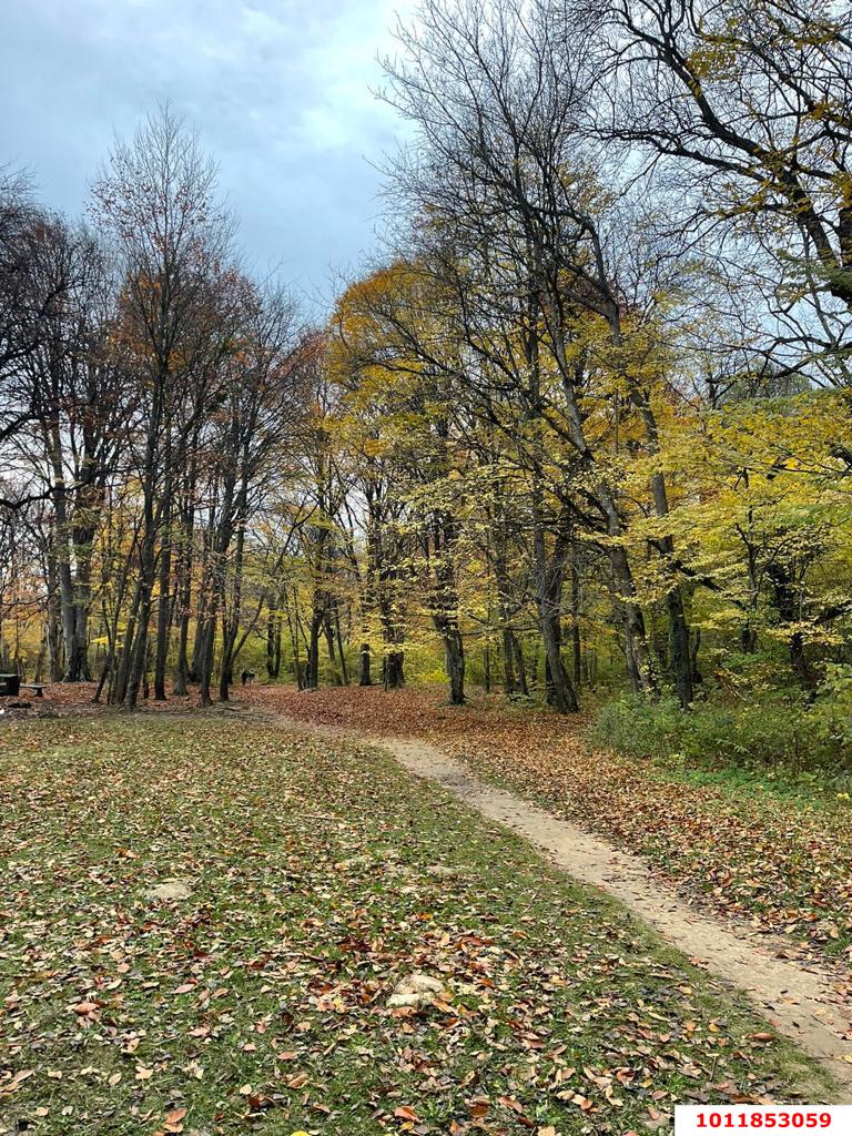 Фото №2: Коммерция 200 м² - Гуамка, ул. Весёлая, 52