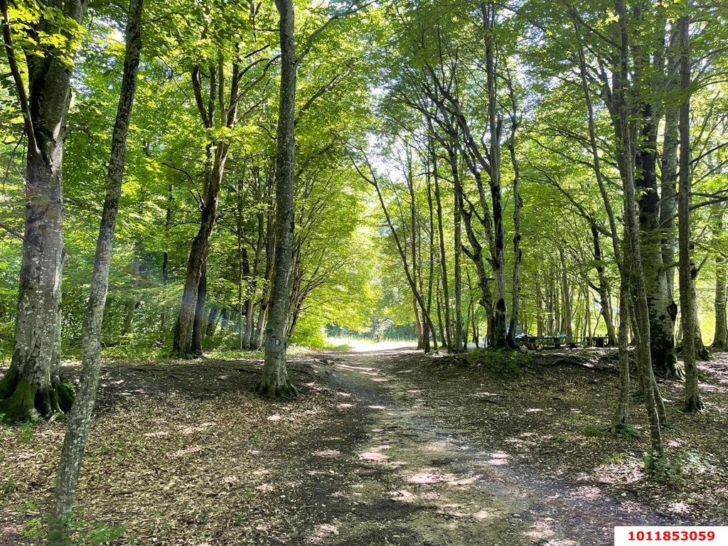 Фото №7: Коммерция 200 м² - Гуамка, ул. Весёлая, 52