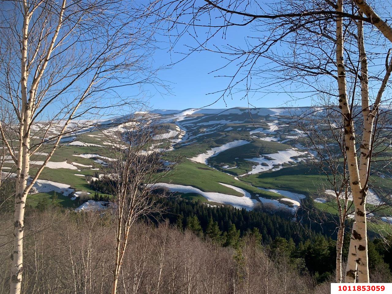 Фото №9: Коммерция 200 м² - Гуамка, ул. Весёлая, 52